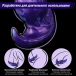 Zerg S Zerg S - Zerg S