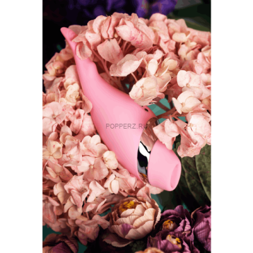 Flovetta DAHLIA Flovetta DAHLIA