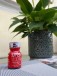 Super Reds 10ml - Super Reds 10ml
